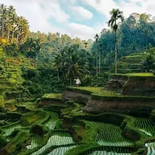 Bali – Ubud