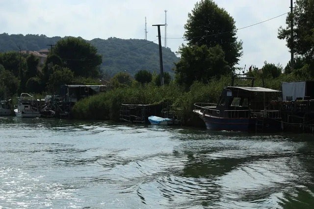 Ağva