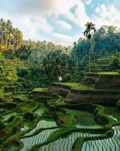 Bali – Ubud